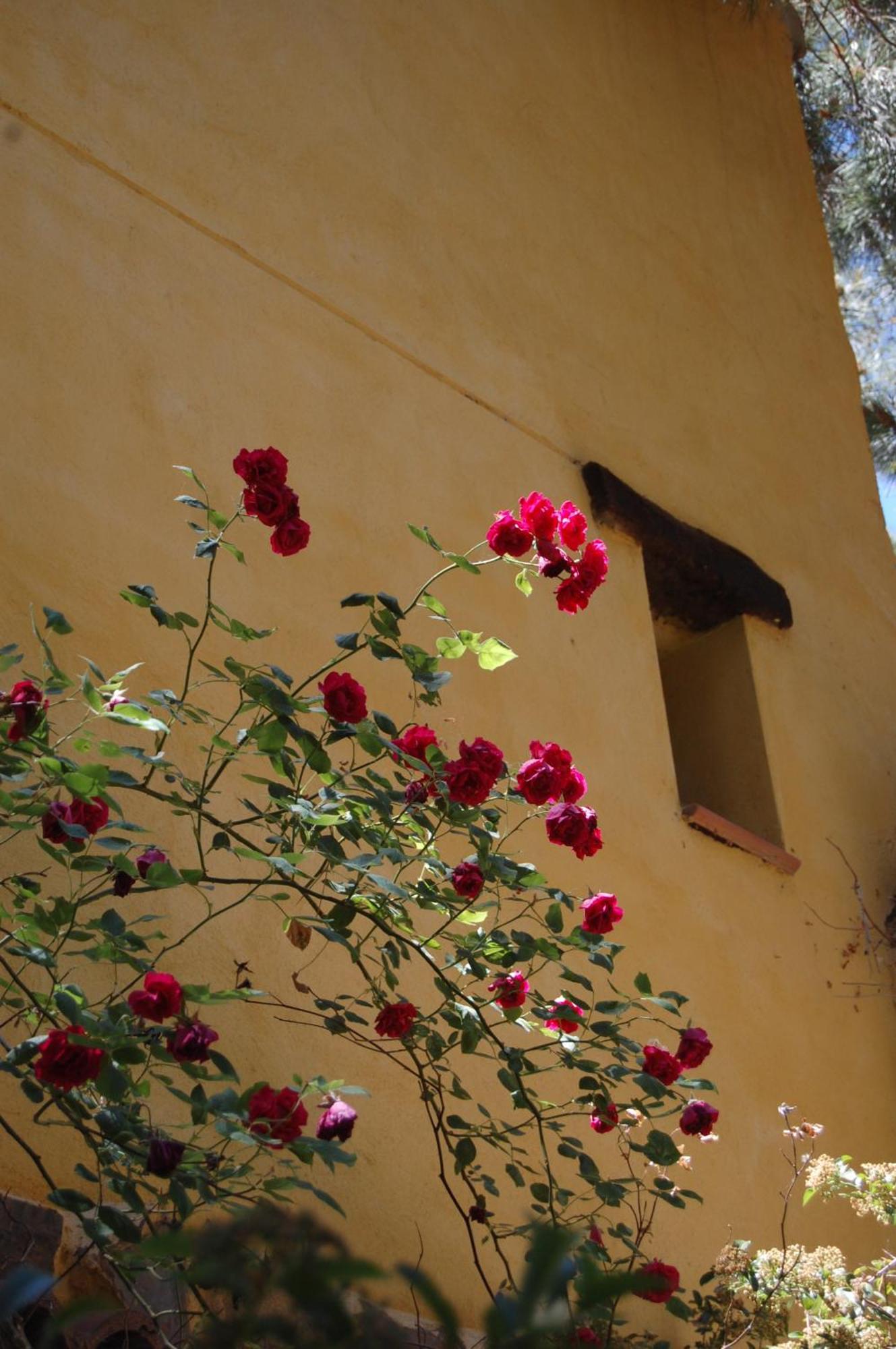 Rural Arco Iris Cuenca Hotell Cuenca  Eksteriør bilde